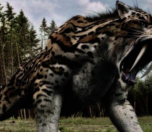 20 Extinct Giants of Prehistoric Times