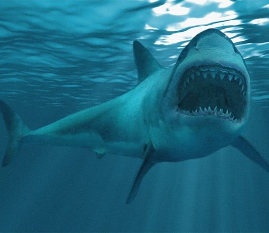 40 Times Earth’s Animals Created Nightmares