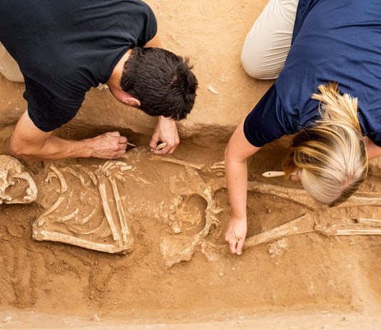 DNA Reveals the Origins of the Ancient Philistines