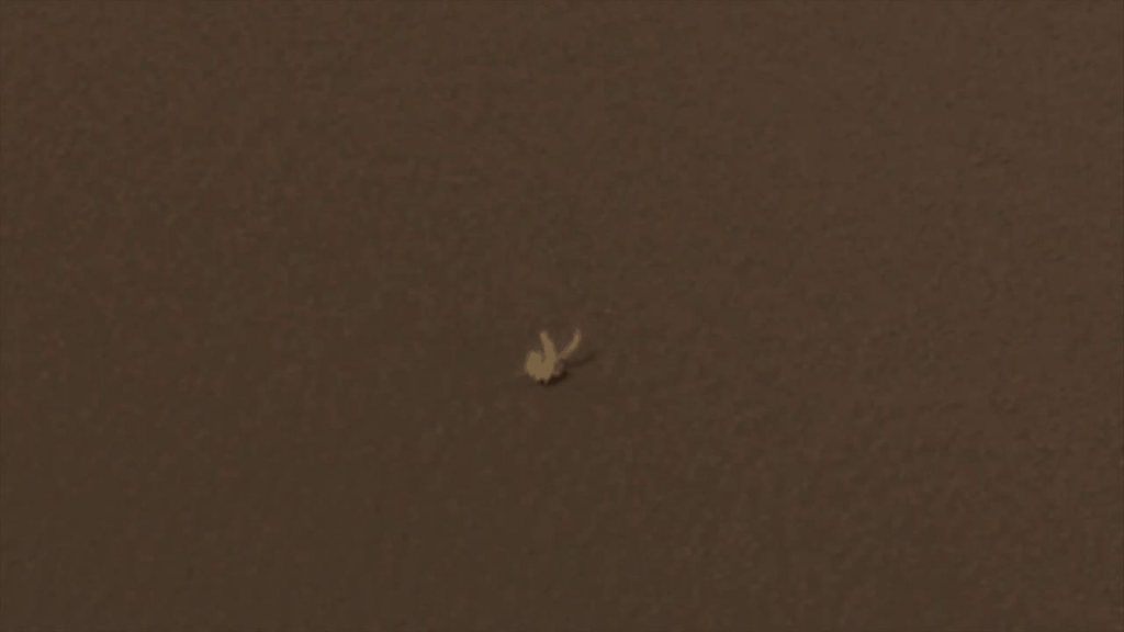 33 Out of this World Mars Finds!