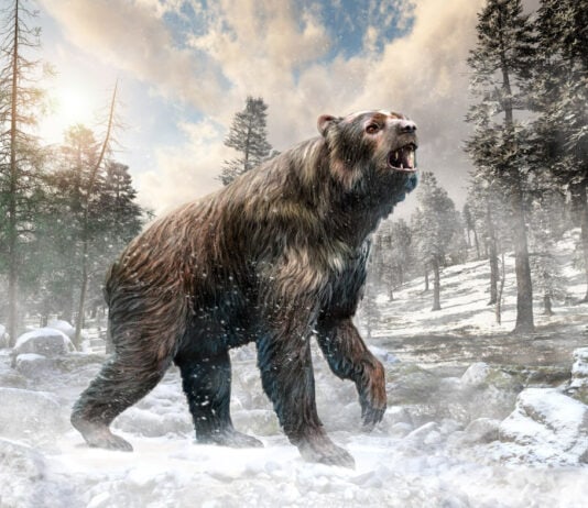 Massive and Terrifying Extinct Animals that Roamed the Earth