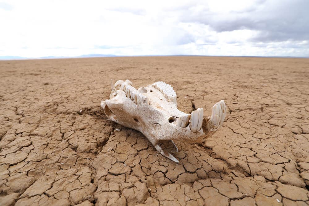 40 Mind-Blowing Facts About The Earth That We All Take For Granted