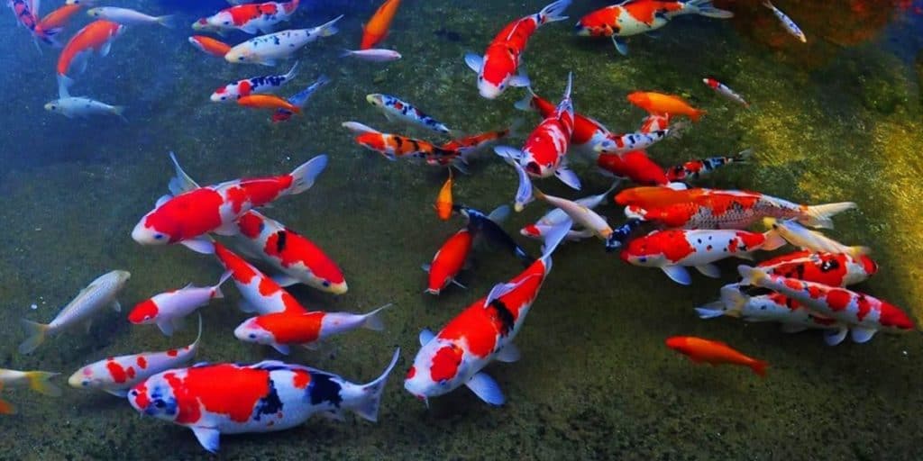 20 Ways We Know God Was Not The Origin Of All Life