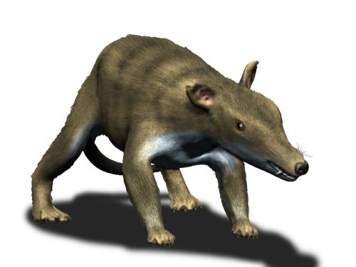 Digging into the Past: 40 Fossil Discoveries That Rewrite Prehistoric History