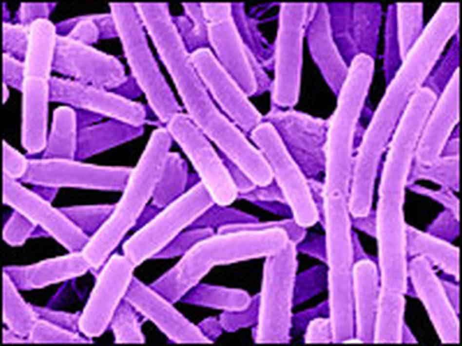 48 Terrifying Times Deadly Chemicals Were Used During Biological Warfare