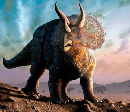 40 Dinosaurs Discovered in North America