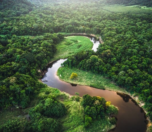 Hidden Secrets Of The Amazon Rainforest
