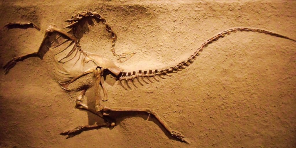 20 Ways We Know God Was Not The Origin Of All Life