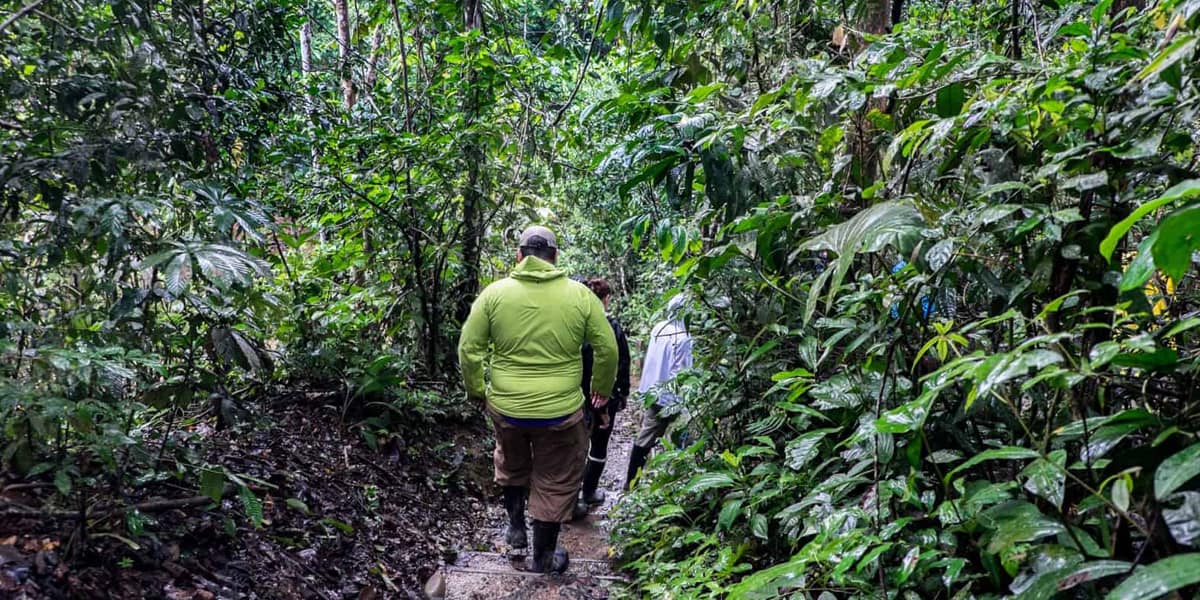 Hidden Secrets Of The Amazon Rainforest