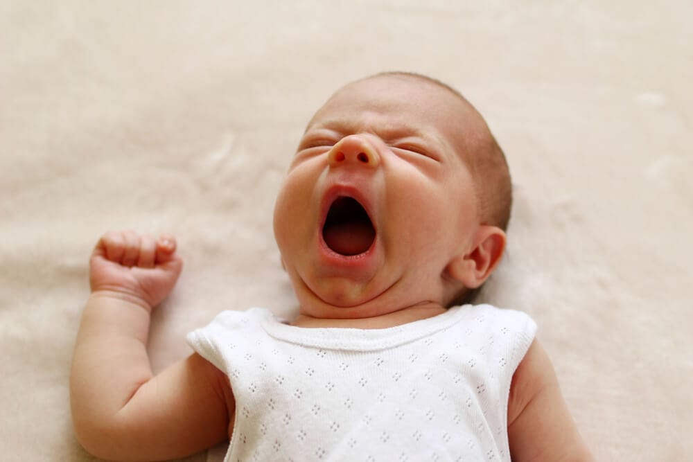 The Science Behind Why Yawning Is ‘Contagious’ – Science Sensei