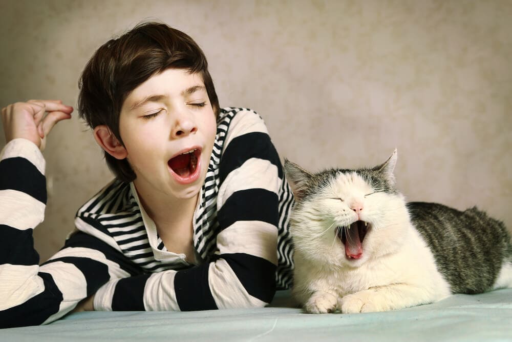 The Science Behind Why Yawning Is ‘Contagious’