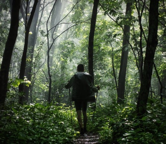 35 Unique Ways To Survive When Lost In The Wilderness