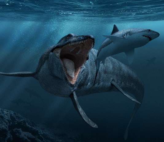 35 Nightmare Sea Monsters