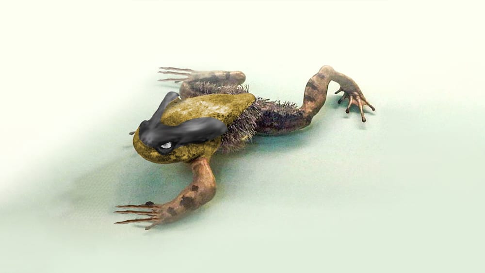 Animals With Unexpected Defense Mechanisms