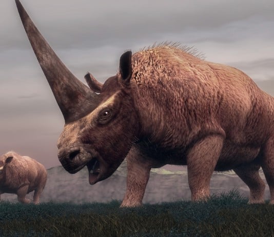 Terrifying Unicorn-Like Creatures Used to Exist