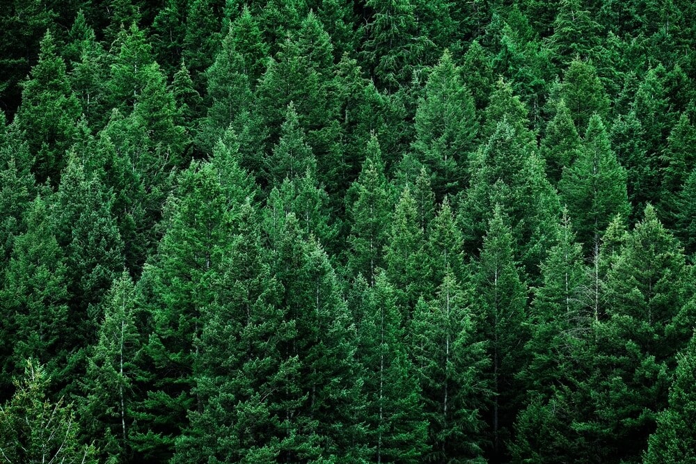 The Garlock Fault Line Is Finally Slipping (And Other Catastrophic Earthquakes in California)