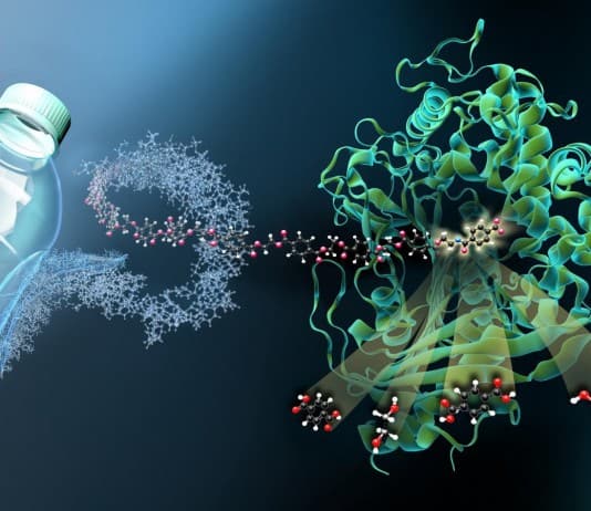 How Scientists Stumbled Upon Plastic Eating Bacteria