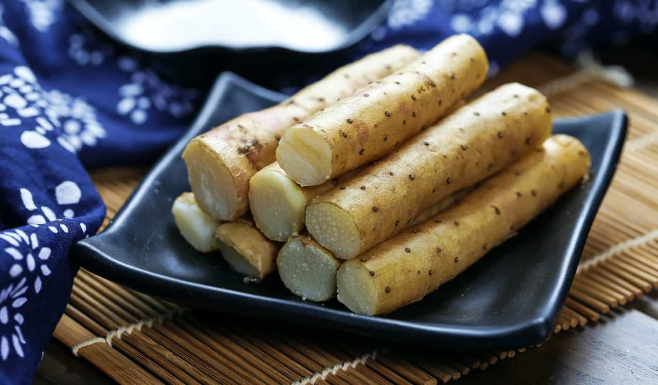 A Natural Science Enthusiast&#8217;s Guide to Medicinal Plants