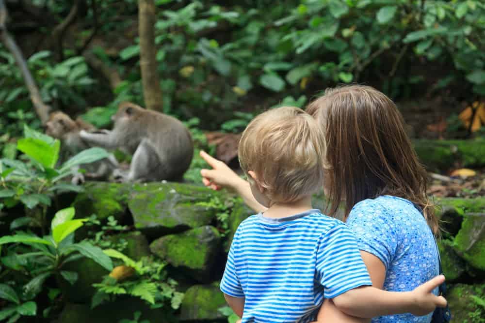 Jane Goodall Exhibit Showcases Her Contributions To Animals And The ...