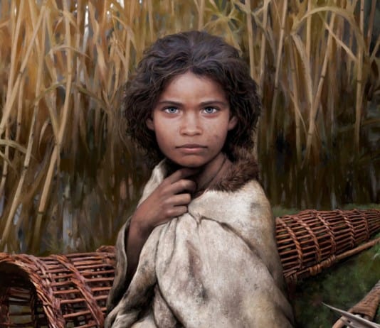 6,000-Year-Old Chewing Gum Proves Ancient Existence of Young Girl