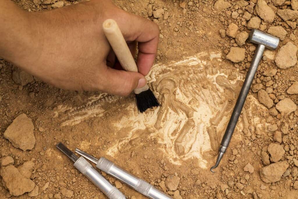 The Groundbreaking Discovery of a Tiny T-Rex in Utah