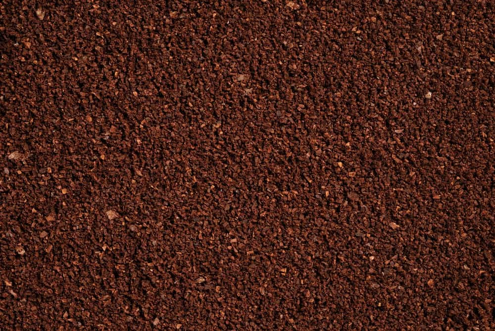 Here&#8217;s Confirmation That Earth was a &#8216;Water World&#8217; Based on Ocean Crust