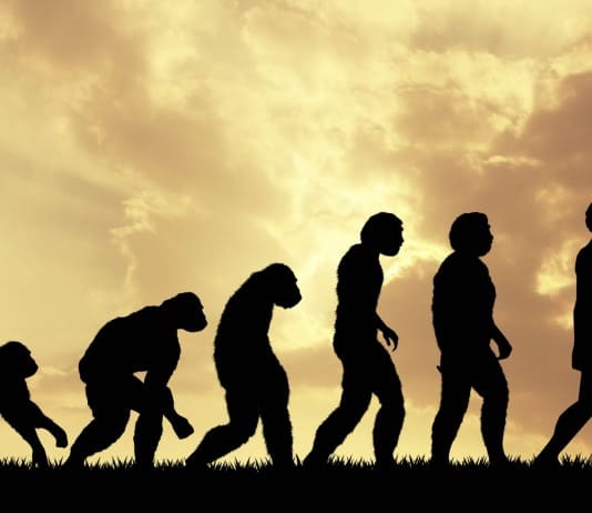 Evolution Explained So A 5 Year Old Could Understand
