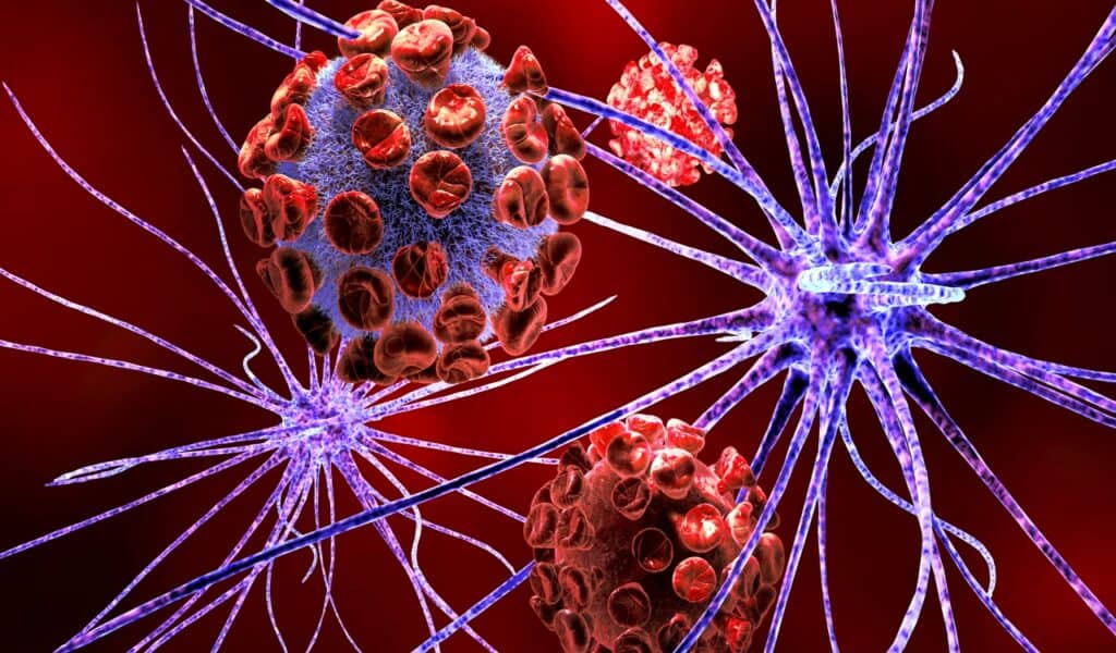 Should We Bring Back Extinct Species? What Science and Ethics Say