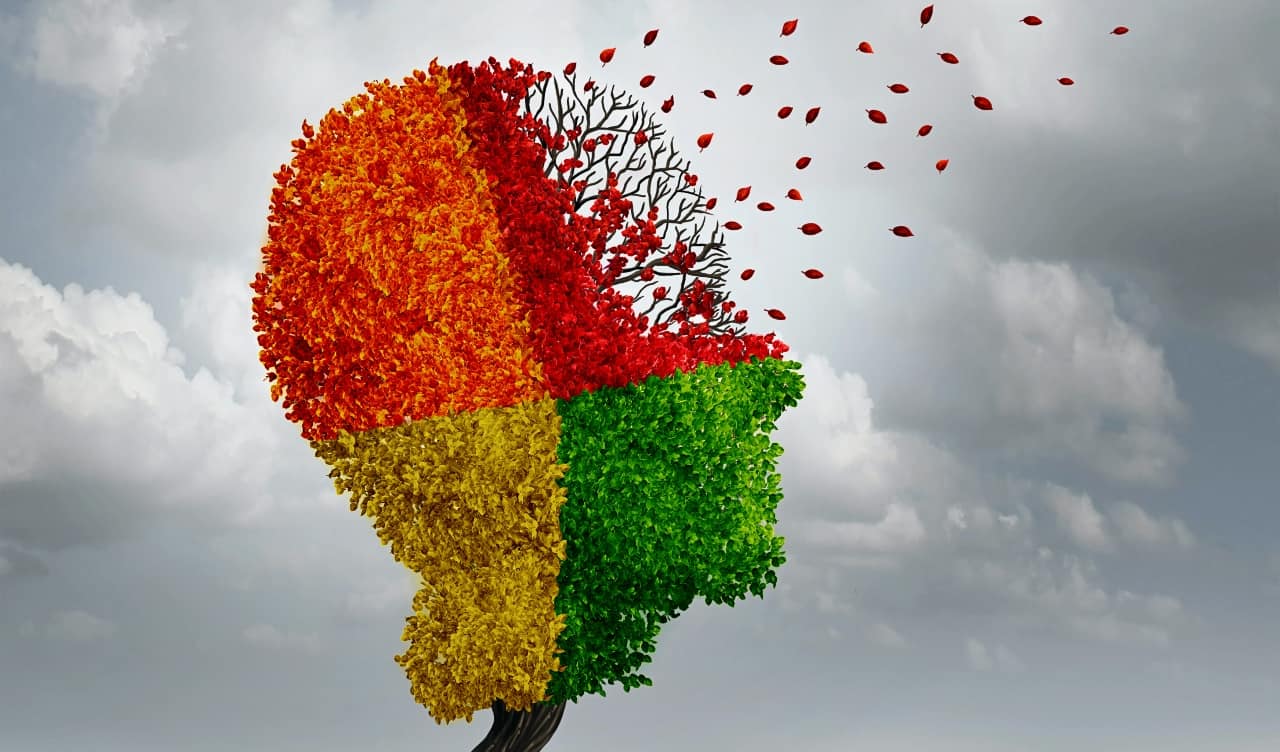 The Human Brain Explained So A 5 Year Old Could Understand