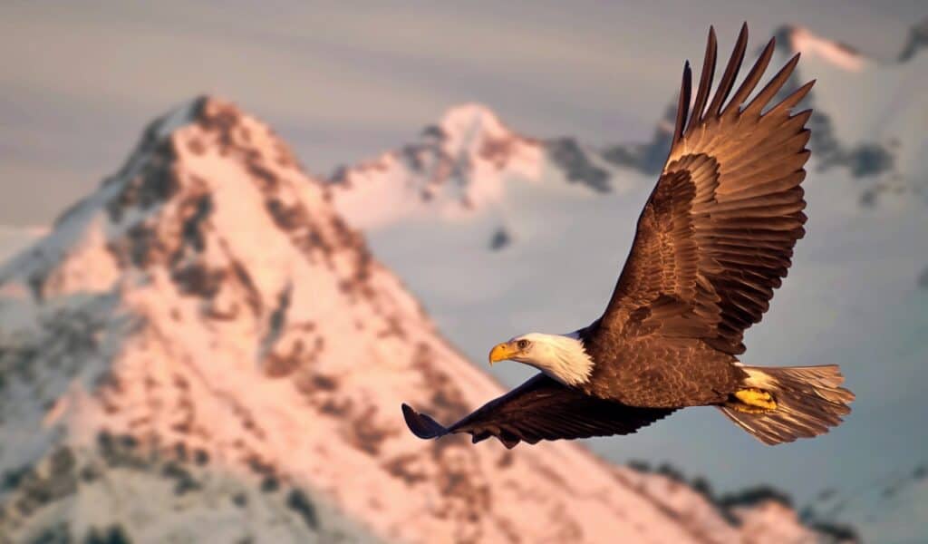 15 Surprising Facts About Dinosaurs You Didn&#8217;t Know