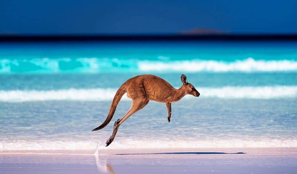 20 Ways We Know God Was Not The Origin Of All Life