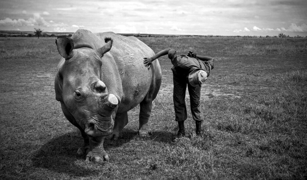 Should We Bring Back Extinct Species? What Science and Ethics Say