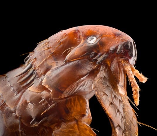 20 Science Facts That Are Scarier Than Any Horror Movie