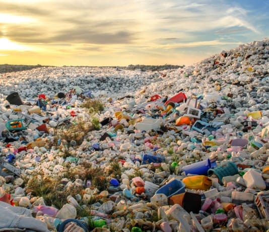 Simple Ways to Live With Less Plastic and Help the Environment