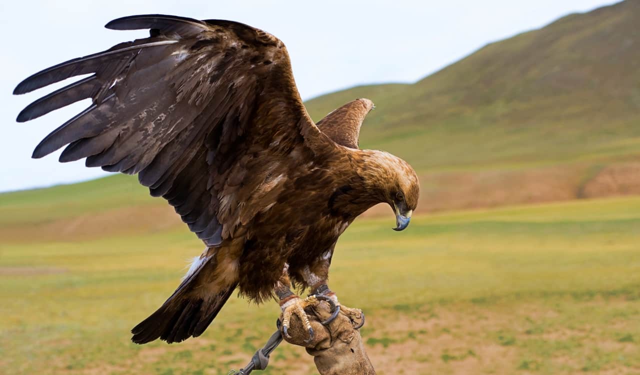 What Will Happen If An Asteroid Hits Our Planet And Other Scary Scientific What-Ifs