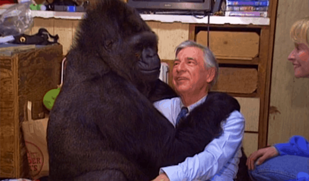 20 Ways We Know God Was Not The Origin Of All Life