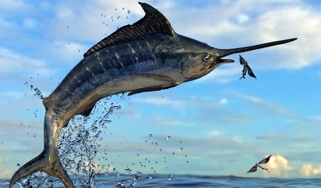 Forget Marvel—These Real Animals Have Rear Superpowers