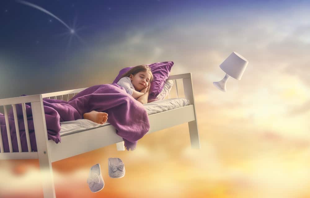 Compelling Theories About the Dreaming Brain – Science Sensei