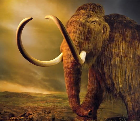 Extinct Animals Science Could Bring Back