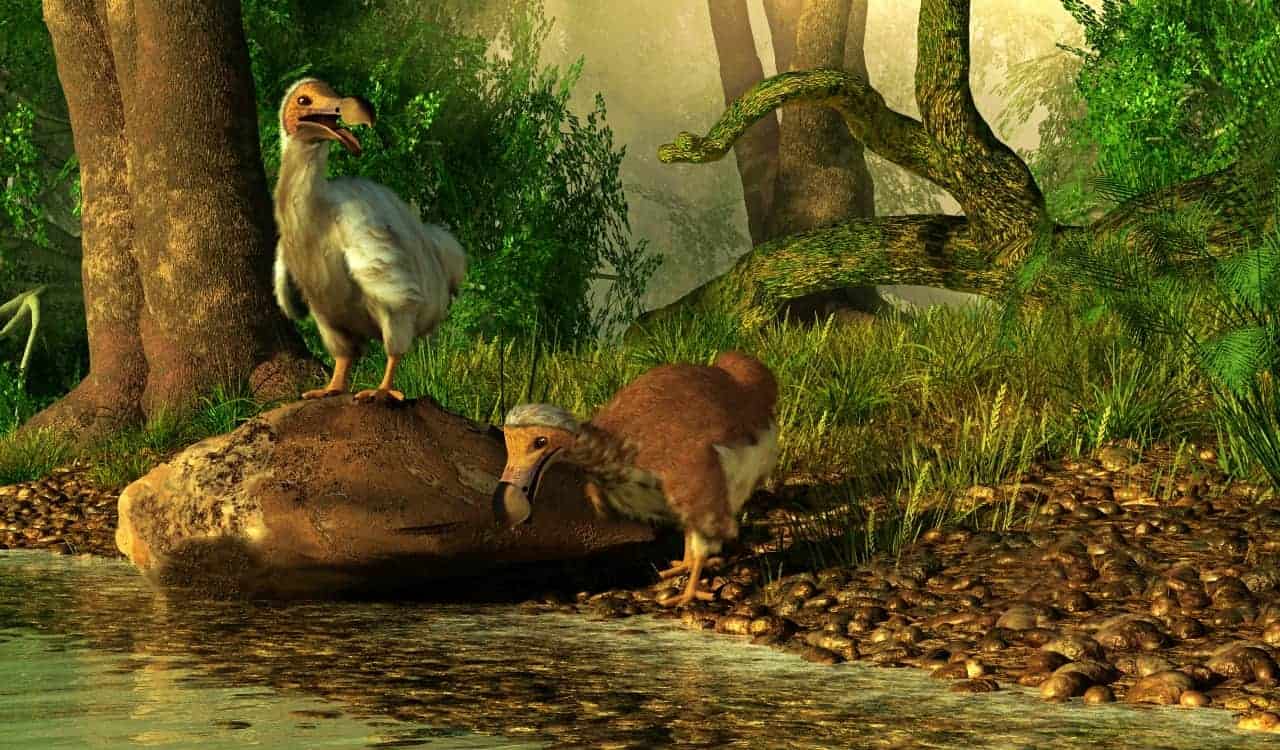 Extinct Animals Science Could Bring Back
