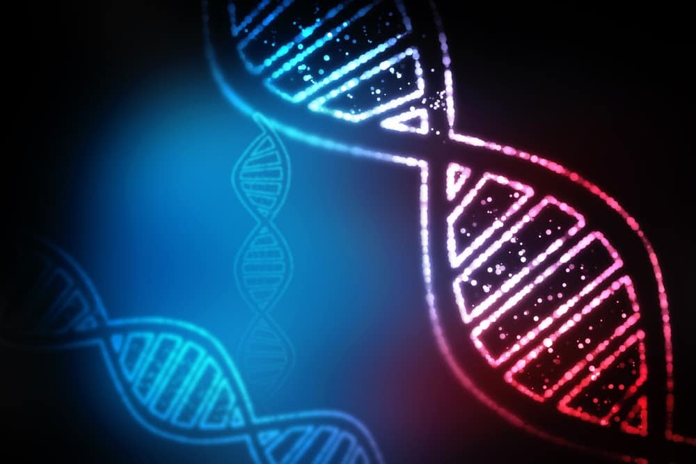 Fascinating Facts the World Knows Thanks to Twin Studies