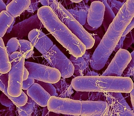 Science Headlines Most People Probably Missed