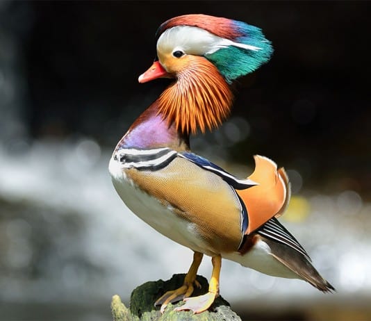 People Found the Most Mind-blowing Photos of Nature and Posted Them