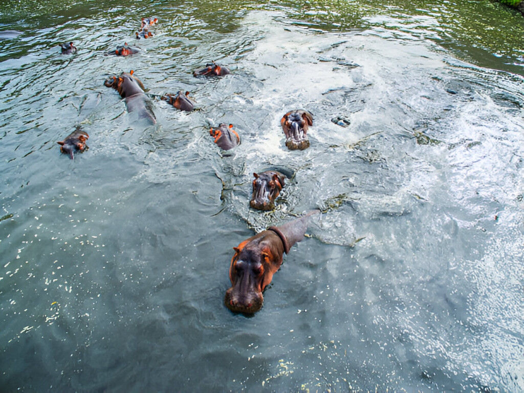 People Found the Most Mind-blowing Photos of Nature and Posted Them