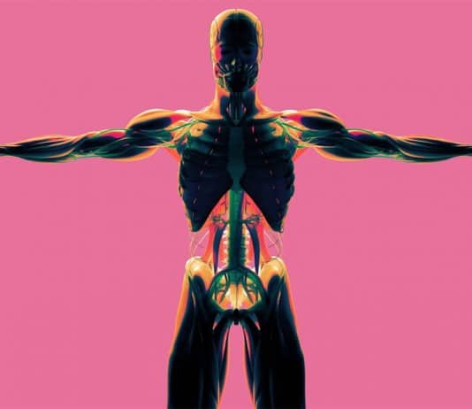 These Questions Prove People Know Nothing About Human Anatomy