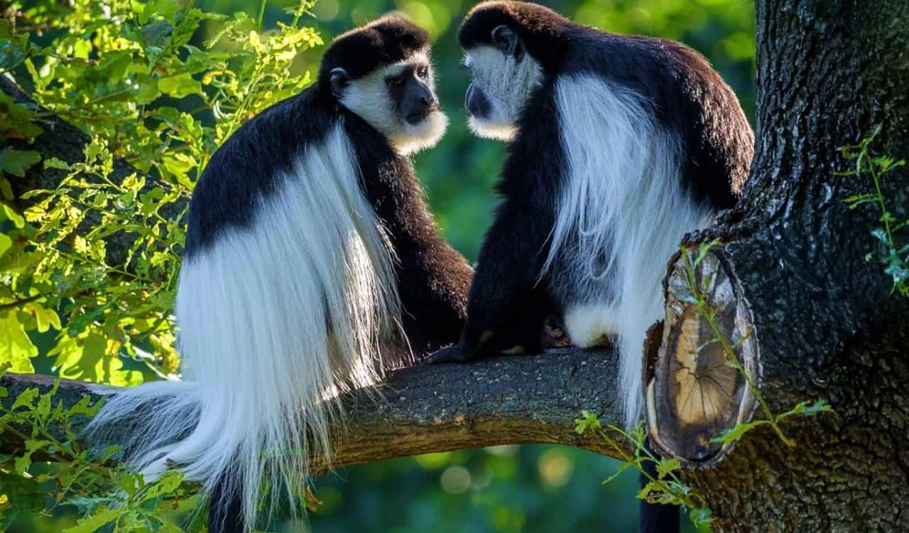 People Found the Most Mind-blowing Photos of Nature and Posted Them