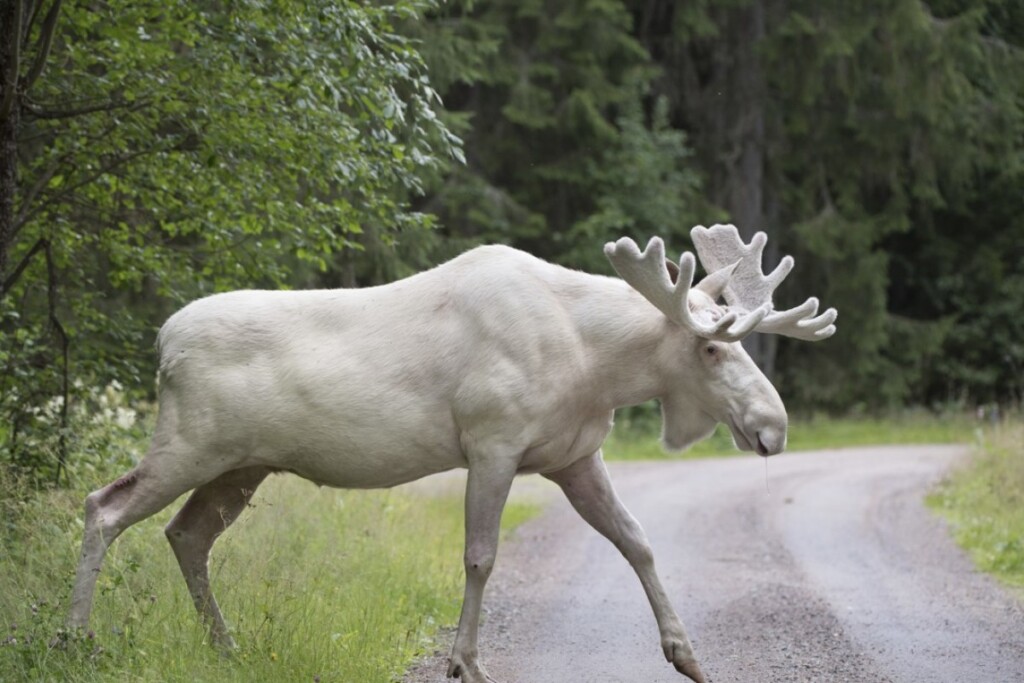 People Found the Most Mind-blowing Photos of Nature and Posted Them