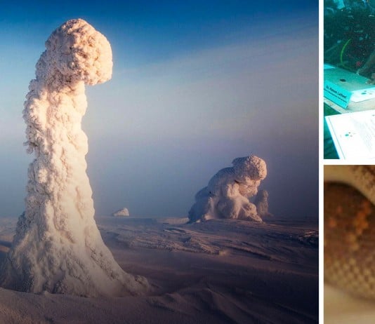 40+ Of The Most Interesting Photos That Have Been Hidden Across The Internet