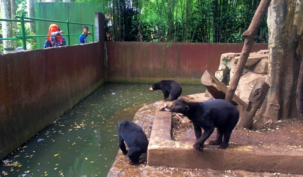The Worst Things That Ever Happened At Zoos