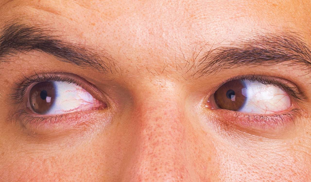 Some People Are Growing an Extra Artery &#8211; What that Means for Human Evolution